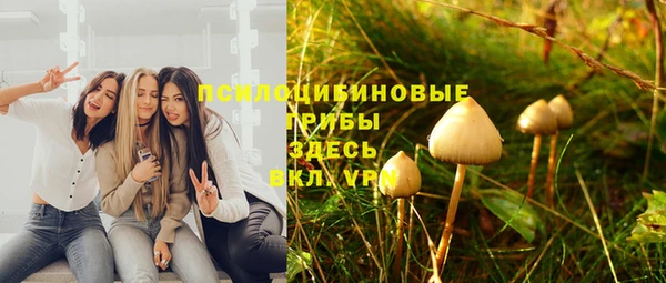 амф Баксан