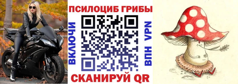 Псилоцибиновые грибы Psilocybine cubensis  ссылка на мегу сайт  Кубинка 